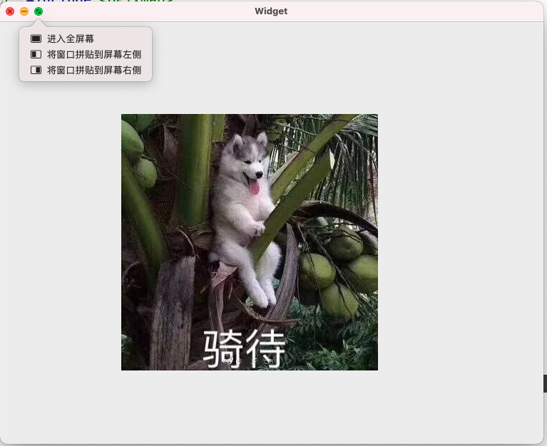 截屏2021-02-06 下午12.57.24